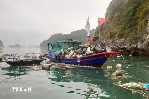 Các phương tiện chất đầy phao xốp và rác thải từ hoạt động tháo dỡ các bè nuôi trồng thủy sản trái phép từ nhiều nơi trôi dạt về vịnh Hạ Long, tỉnh Quảng Ninh. (Ảnh: Thanh Vân/TTXVN)