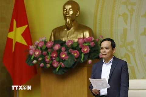 Phó Thủ tướng Trần Lưu Quang. (Ảnh: An Đăng/TTXVN)