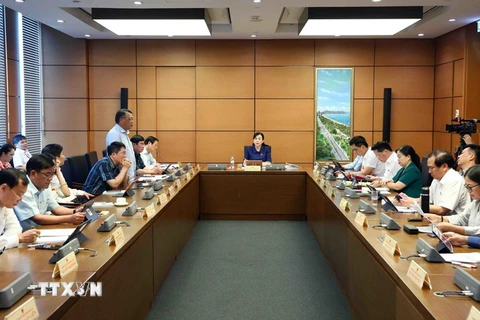 Đoàn đại biểu Quốc hội các tỉnh Bắc Giang, Hà Nam và An Giang thảo luận ở tổ. (Ảnh: Doãn Tấn/TTXVN)