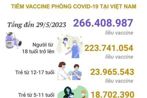 [Infographics] Tình hình tiêm vaccine phòng COVID-19 tại Việt Nam