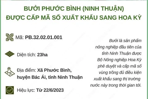 Ninh Thuận: Bưởi Phước Bình được cấp mã số xuất khẩu sang Hoa Kỳ