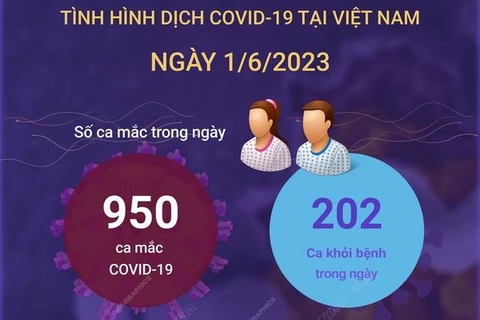 [Infographics] Cập nhật tình hình dịch COVID-19 ở Việt Nam ngày 1/6
