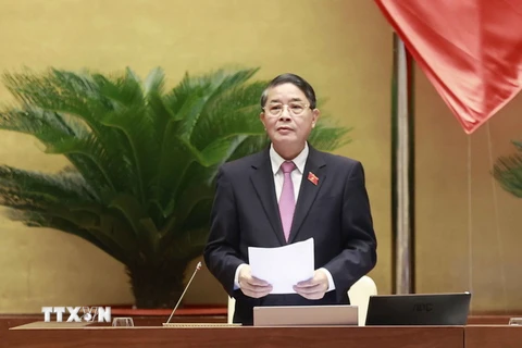 Phó Chủ tịch Quốc hội Nguyễn Đức Hải phát biểu điều hành phiên họp. (Ảnh: Doãn Tấn/TTXVN)