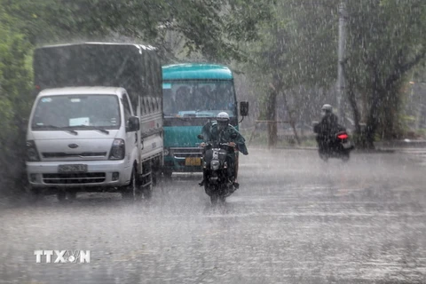 Cơn mưa lớn làm giảm không khí oi ả sau chuỗi ngày nắng nóng. (Ảnh: Tuấn Đức /TTXVN)