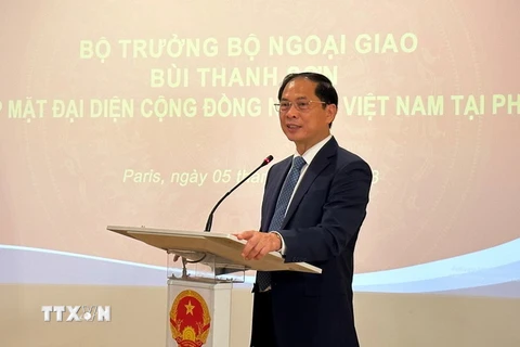 Bộ trưởng Ngoại giao Bùi Thanh Sơn phát biểu tại buổi gặp đại diện cộng đồng người Việt Nam tại Pháp. (Ảnh: Nguyễn Thu Hà/TTXVN) 