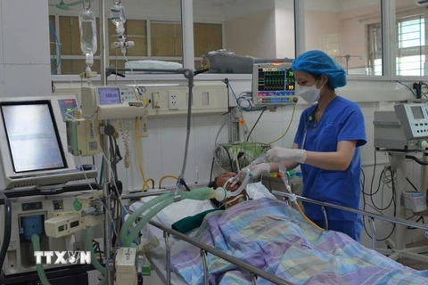 Bệnh nhân bị ngộ độc so biển đang được hồi sức tích cực tại Bệnh viện Bãi Cháy. (Ảnh: TTXVN phát)