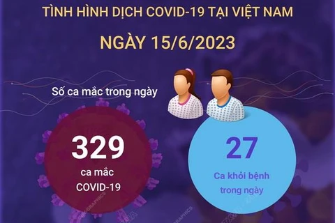 [Infographics] Cập nhật tình hình dịch COVID-19 ở Việt Nam ngày 15/6