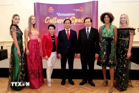 Bộ trưởng Ngoại giao Bùi Thanh Sơn (giữa), Thứ trưởng Bộ Văn hóa, Thể thao và Du lịch Tạ Quang Đông (thứ 3, phải sang) và nhà thiết kế La Hồng (thứ 3, trái sang) cùng các người mẫu trình diễn áo dài trong chương trình Ngày Việt Nam tại Áo. (Ảnh: Mạnh Hùng