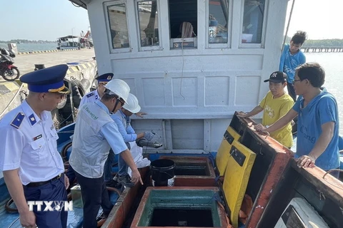 Lực lượng chức năng của tỉnh Bà Rịa-Vũng Tàu kiểm tra tàu cá trước khi ra khơi đánh bắt. (Ảnh: Hoàng Nhị/TTXVN)