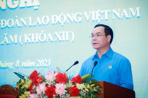 Chủ tịch Tổng Liên đoàn Lao động Việt Nam Nguyễn Đình Khang phát biểu. (Nguồn: Báo Đại biểu Nhân dân)