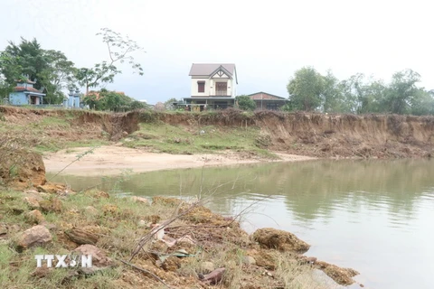 Sạt lở bờ sông Thạch Hãn tiến gần vào nhà dân đoạn qua xã Triệu Giang, huyện Triệu Phong, tỉnh Quảng Trị, hồi tháng 11/2022. (Ảnh: Nguyên Lý/TTXVN)
