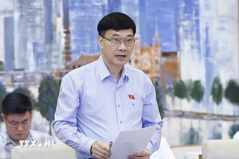 Chủ nhiệm Ủy ban Kinh tế của Quốc hội Vũ Hồng Thanh trình bày báo cáo. (Ảnh: Doãn/TTXVN)