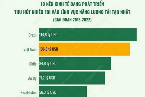 Việt Nam đứng thứ 2 về thu hút FDI vào năng lượng tái tạo