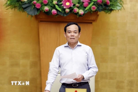 Phó Thủ tướng Trần Lưu Quang phát biểu. (Ảnh: An Đăng/TTXVN)