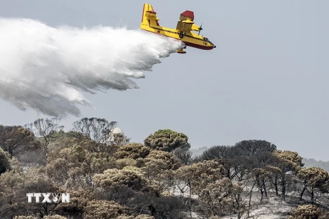 Máy bay phun nước dập lửa cháy rừng do nắng nóng tại Tangier, Maroc, ngày 12/8 vừa qua. (Ảnh: AFP/TTXVN)
