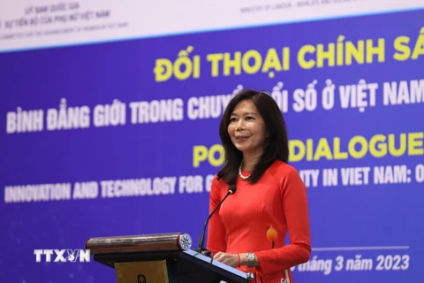 Điều phối viên Thường trú Liên hợp quốc tại Việt Nam Pauline Tamesis. (Ảnh: Hoàng Hiếu/TTXVN)