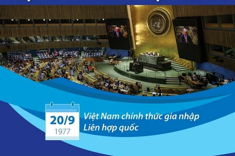 Trong chặng đường 46 năm hợp tác với Liên hợp quốc, Việt Nam từ một nước cần sự hỗ trợ để tái thiết, đến nay đã trở thành đối tác ngày càng tích cực, chủ động, đóng góp thực chất vào các hoạt động của Liên hợp quốc.