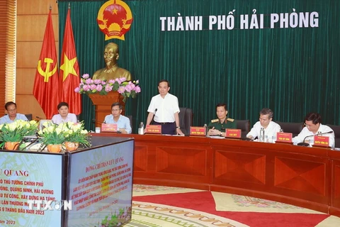 Phó Thủ tướng Trần Lưu Quang phát biểu tại buổi làm việc. (Ảnh: Hoàng Ngọc/TTXVN)