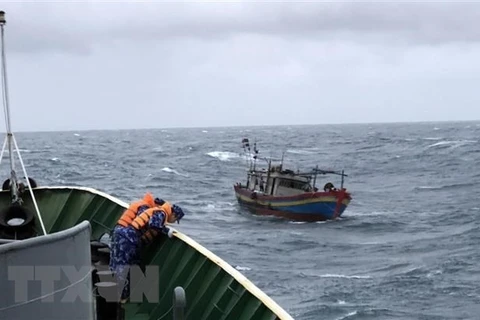 Huy động lực lượng hỗ trợ một tàu cá bị chìm khi vào khu tránh trú bão. (Ảnh minh họa. Minh Huệ/TTXVN)