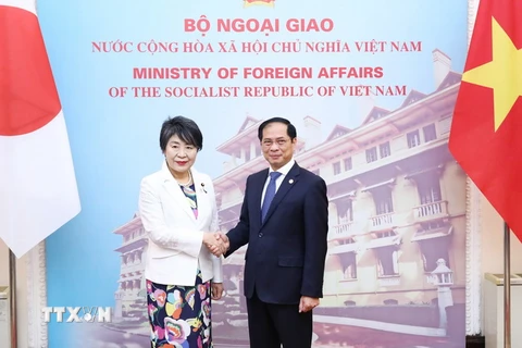 Bộ trưởng Ngoại giao Bùi Thanh Sơn với Bộ trưởng Ngoại giao Nhật Bản Kamikawa Yoko. (Ảnh: Minh Đức/TTXVN)
