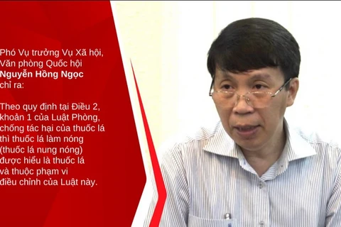Phó Vụ trưởng Vụ Xã hội, Văn phòng Quốc hội Nguyễn Hồng Ngọc. (Nguồn: Vietnam+)