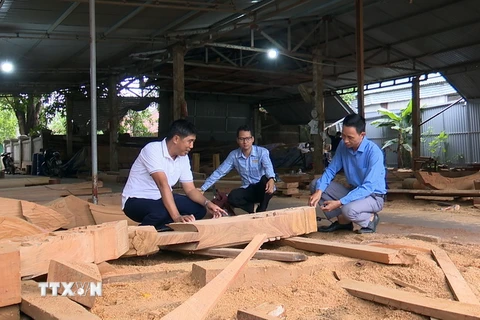 Ông Nguyễn Văn Minh (bên trái) chia sẻ về quy trình làm nhà từ gỗ mít. (Ảnh: Hữu Quyết/TTXVN)