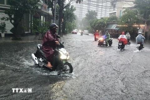 Tuyến đường Lê Tấn Trung, quận Sơn Trà, thành phố Đà Nẵng, nhiều đoạn nước ngập sâu khiến phương tiện giao thông gặp khó khăn khi di chuyển. (Ảnh: Văn Dũng/TTXVN)