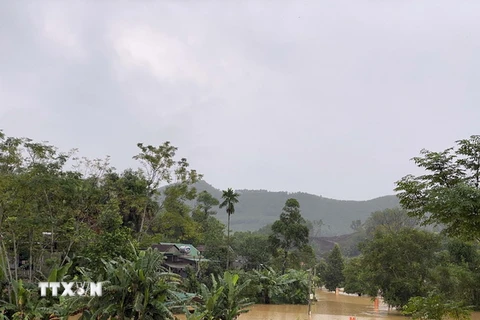 Hà Tĩnh: Khẩn trương khắc phục hạ tầng thủy lợi thiết yếu do lũ lụt
