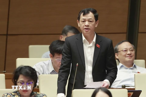 Đại biểu Quốc hội TP Hồ Chí Minh Nguyễn Tri Thức phát biểu ý kiến. (Ảnh: Doãn Tấn/TTXVN)