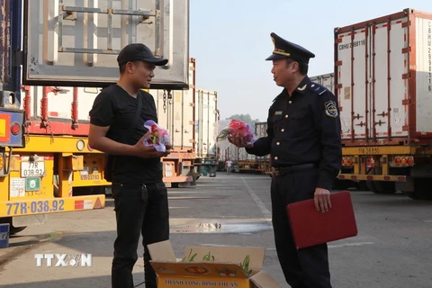 Lực lượng Hải quan Tân Thanh kiểm tra chủng loại hàng hóa xuất khẩu qua cửa khẩu Tân Thanh. (Ảnh: Quang Duy/TTXVN)