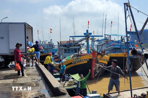 Tàu bốc dỡ cá tại Cảng cá Xí nghiệp Dịch vụ hậu cần Thủy sản Hưng Thái, huyện Long Điề, tỉnh Bà Rịa-Vũng Tàu. (Ảnh: Hoàng Nhị/TTXVN)