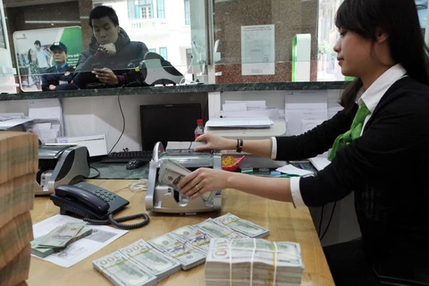 Giá đồng USD tại Vietcombank được niêm yết ở mức 24.130-24.500 VND/USD (mua vào-bán ra). (Ảnh: PV/Vietnam+)