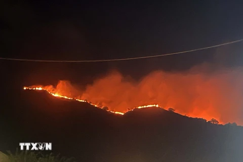 Vụ cháy núi Cô Tiên, Nha Trang vào đêm 10/1. (Ảnh: TTXVN phát)
