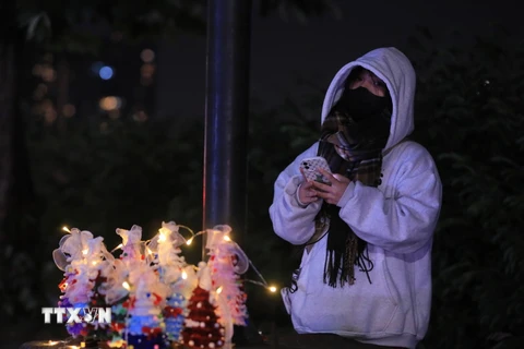 Một bạn trẻ bán đồ Giáng sinh trên đường Thanh Niên. (Ảnh: Hoàng Hiếu/TTXVN)