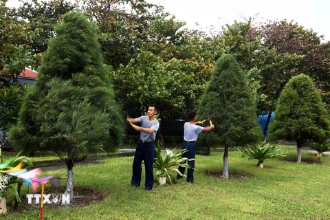 Nhiều cây cảnh được trồng ở khu vực trung tâm đảo Trường Sa, góp phần tạo cảnh quan môi trường chính quy, xanh, sạch, đẹp trên đảo. (Ảnh: Hồng Đạt/TTXVN)