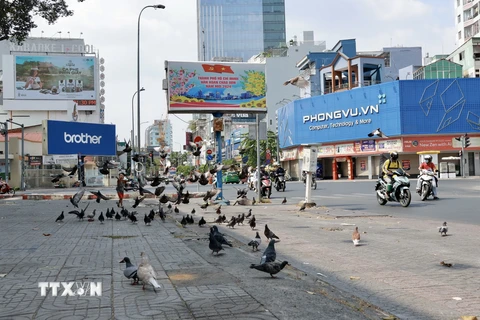 Thành phố Hồ Chí Minh sắc màu và yên bình chiều 30 Tết 