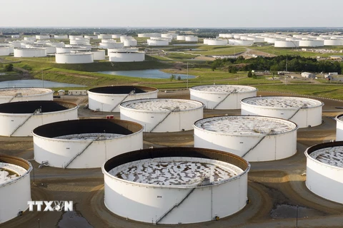 Một cơ sở dự trữ dầu thô. (Ảnh: AFP/TTXVN)