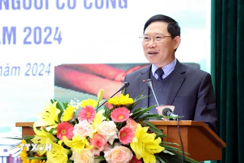 Chủ tịch UBND tỉnh Bắc Giang Lê Ánh Dương, Trưởng Ban Chỉ đạo 714 phát biểu. (Ảnh: Đồng Thúy/TTXVN)