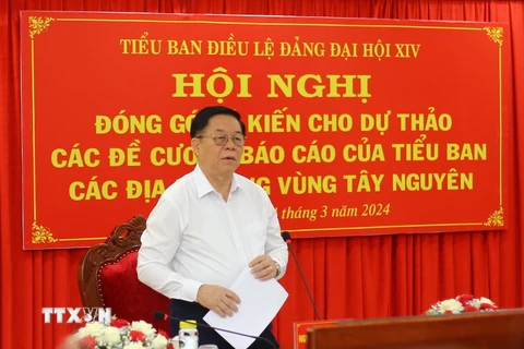 Ông Nguyễn Trọng Nghĩa, Bí thư Trung ương Đảng, Trưởng Ban Tuyên giáo Trung ương phát biểu tại Hội nghị. (Ảnh: Hồng Điệp/TTXVN)
