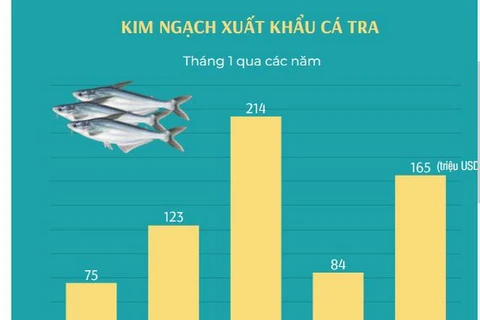 Xuất khẩu cá tra tăng gần gấp đôi trong tháng đầu tiên của năm