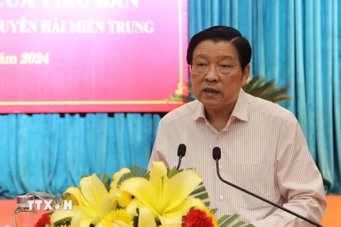 Trưởng ban Nội chính Trung ương Phan Đình Trạc phát biểu tại Hội nghị. (Ảnh: Sỹ Thắng/TTXVN)