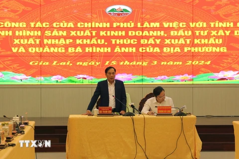 Ủy viên Trung ương Đảng, Bộ trưởng Bộ Ngoại giao Bùi Thanh Sơn, Trưởng đoàn công tác của Chính phủ phát biểu tại buổi làm việc. (Ảnh: Hồng Điêp/TTXVN)