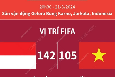 Vòng loại World Cup 2026: Tuyển Việt Nam đối đầu với tuyển Indonesia