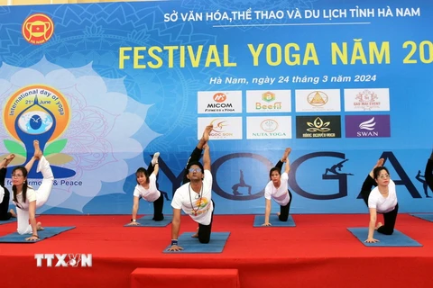 Màn trình diễn Yoga tại chương trình Festival Yoga tỉnh Hà Nam năm 2024. (Ảnh: Đại Nghĩa/TTXVN)