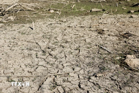 Bình Thuận: Hàng nghìn hecta đất nông nghiệp ở huyện Hàm Thuận Nam thiếu nước