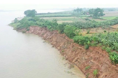 Hà Nội: Biến đổi dòng chảy gây sạt lở bãi bồi trên sông Hồng