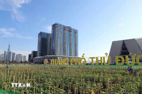 Cánh đồng hoa hướng dương tại khu vực Công viên bờ sông Sài Gòn, thành phố Thủ Đức. (Ảnh: TTXVN phát)
