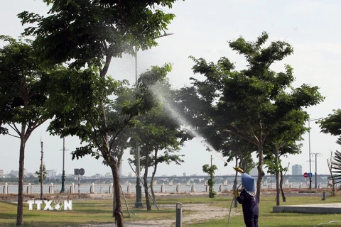 Công nhân chăm sóc cây xanh tại Khu đô thị mới Nam thành phố Tuy Hòa. (Ảnh: Xuân Triệu/TTXVN)