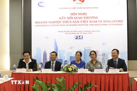 Hội nghị kết nối giao thương doanh nghiệp thủy sản Việt Nam-Singapore. (Ảnh: Xuân Anh/TTXVN)