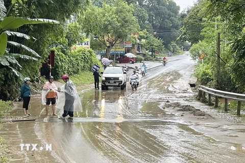 Mưa lớn, nước sông dâng cao gây ngập cục bộ, các phương tiện di chuyển khó khăn trên tuyến đường từ thành phố Lào Cai đi khu du lịch quốc gia Sa Pa. (Ảnh: Quốc Khánh/TTXVN)